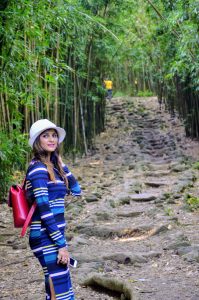 bamboo Forest